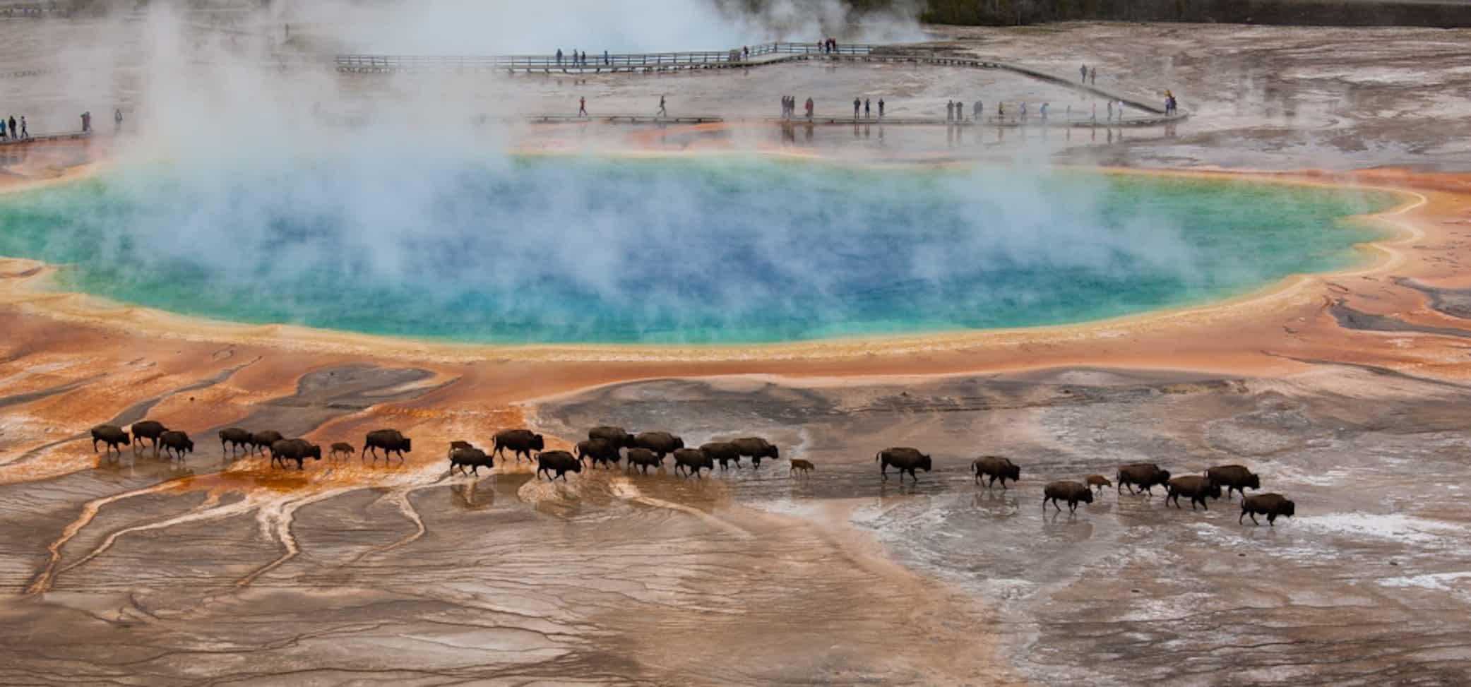 5 Best Overlooks in Yellowstone