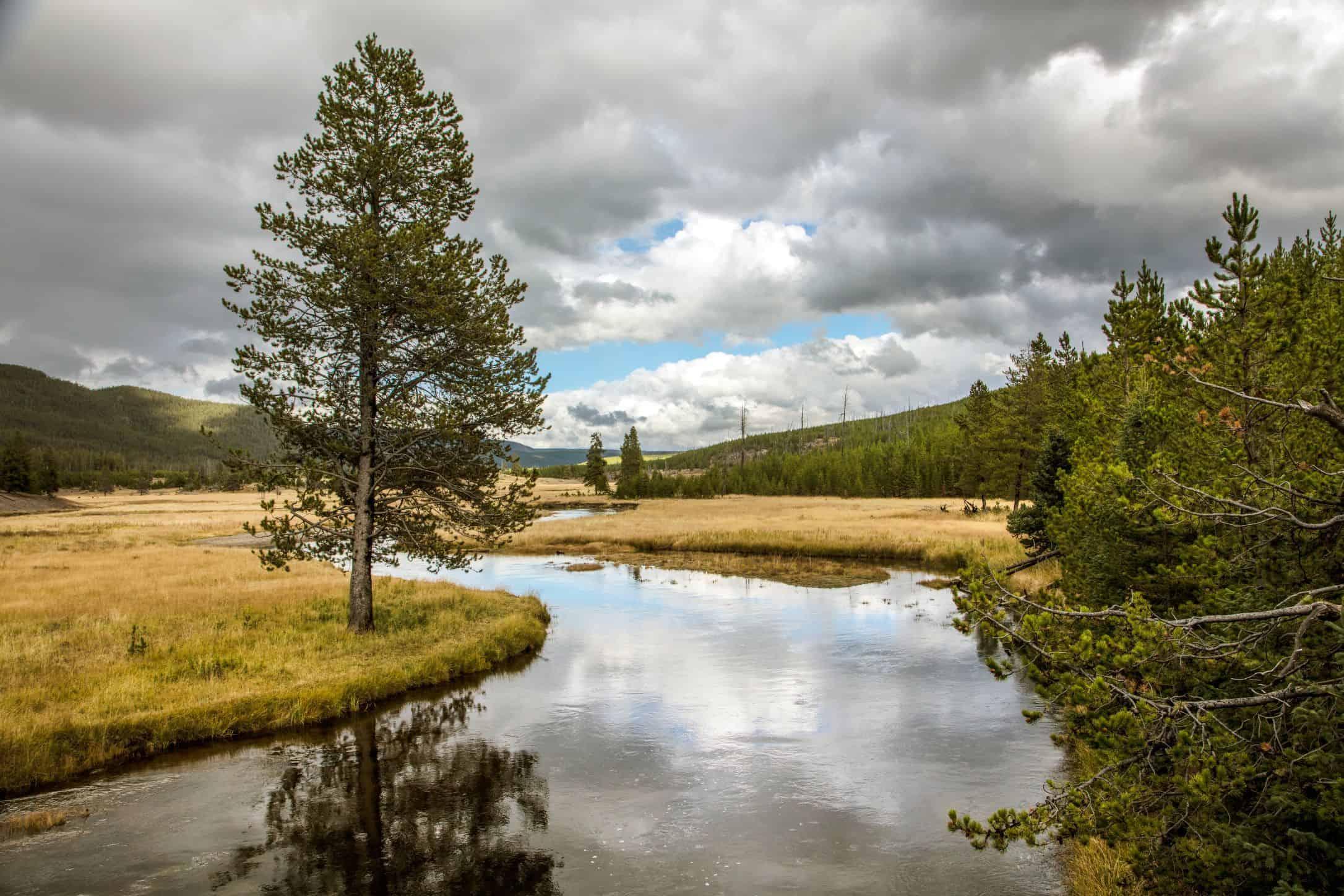 The Right Way to Experience Yellowstone is Slowly