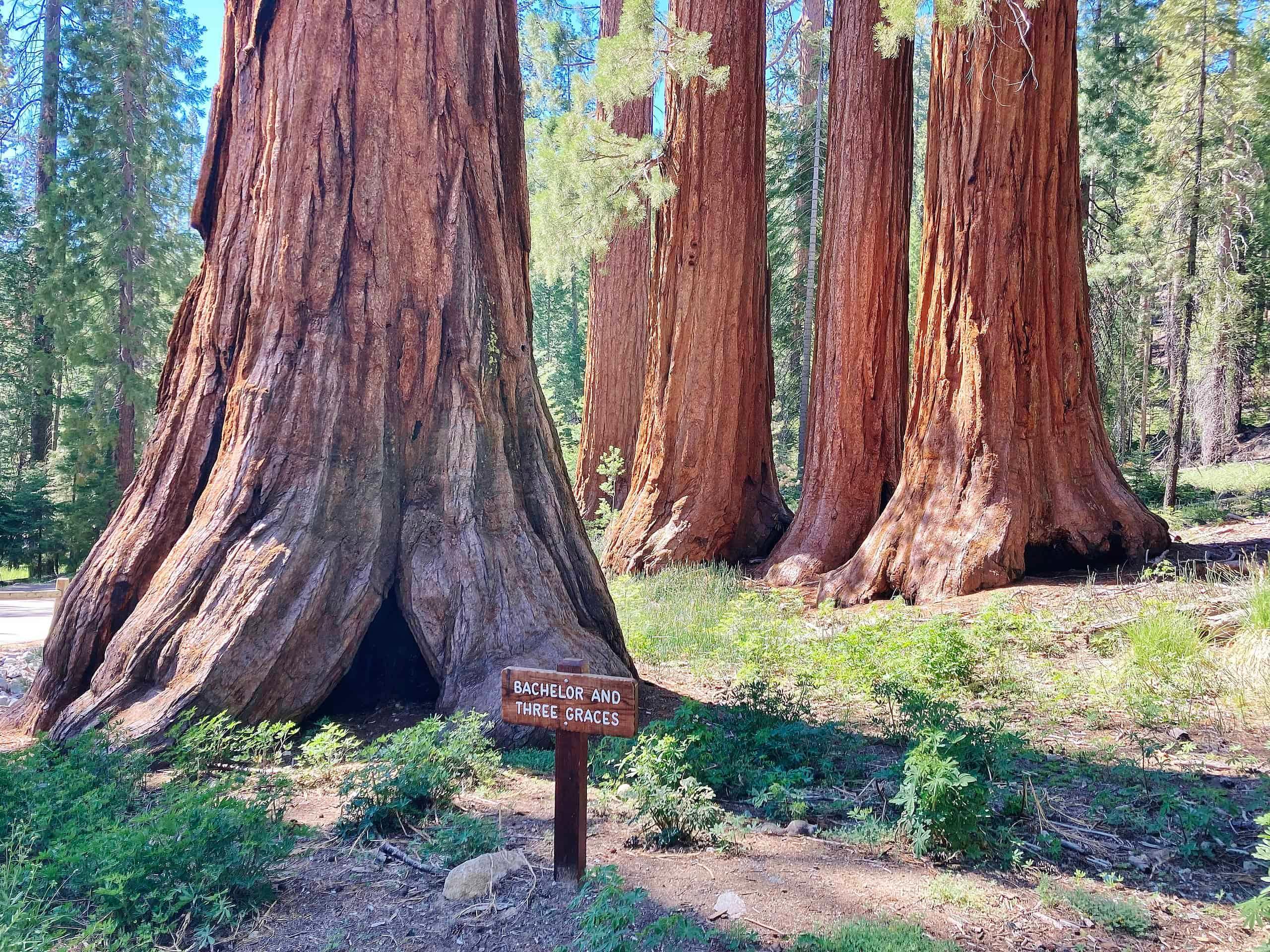 Yosemite: Beyond the Valley